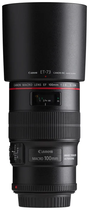 Canon EOS DSLR ve 50mm Lens
