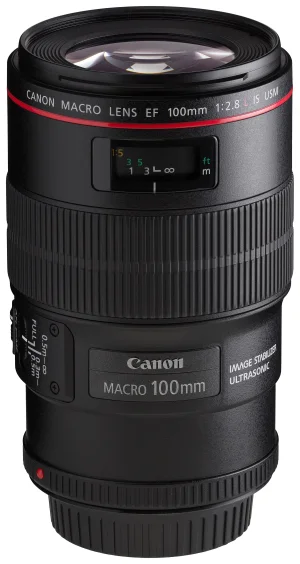 Canon EOS DSLR ve 50mm Lens