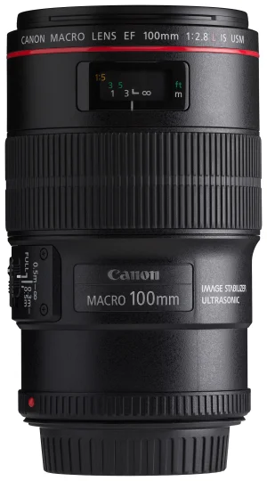 Canon EOS DSLR ve 50mm Lens