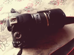 Canon EOS DSLR ve 50mm Lens